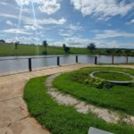 Home - Orizont