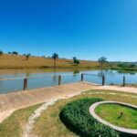 Home - Orizont